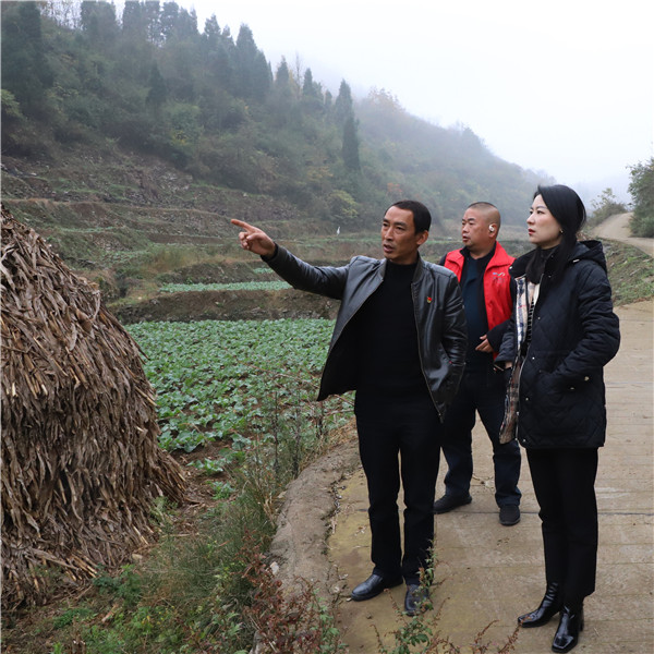 1701826357381347.jpg 3.jpg