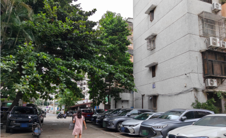 1734944346868399.png image.png