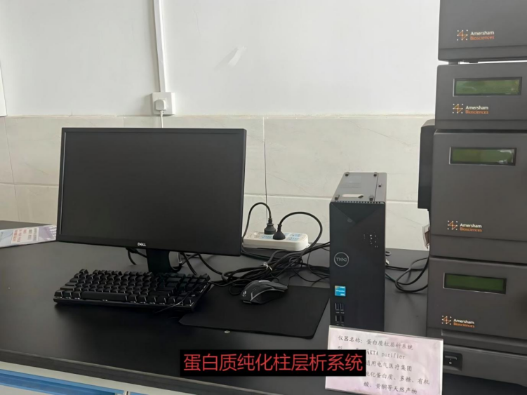 1762756872339682.png image.png