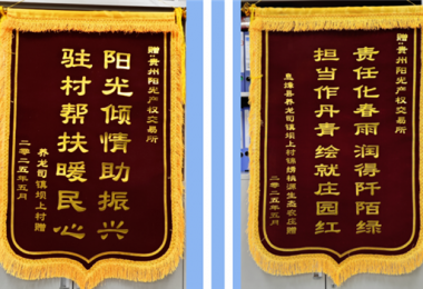 雙錦映紅鄉(xiāng)村振興路  陽(yáng)光傾情澆灌壩上“春”——陽(yáng)光產(chǎn)權(quán)交易所駐村幫扶獲贈(zèng)感恩錦旗
