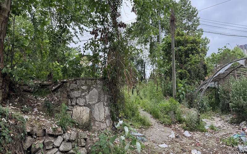 貴州省機(jī)關(guān)事務(wù)管理局國有資產(chǎn)管理服務(wù)中心遵義市紅花崗區(qū)桃溪路51號2處資產(chǎn)招租